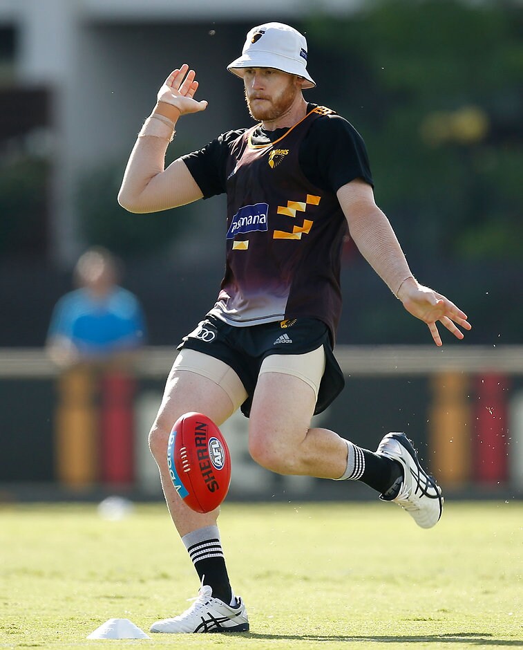 AFL 2016 Training - Hawthorn 130116 Jarryd Roughead doesn't know why his knee flared up post-Christmas - ${keywords}